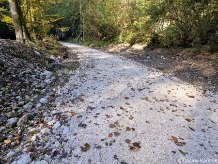 Sanacijska obnova gozdnih cest po poplavah (2)